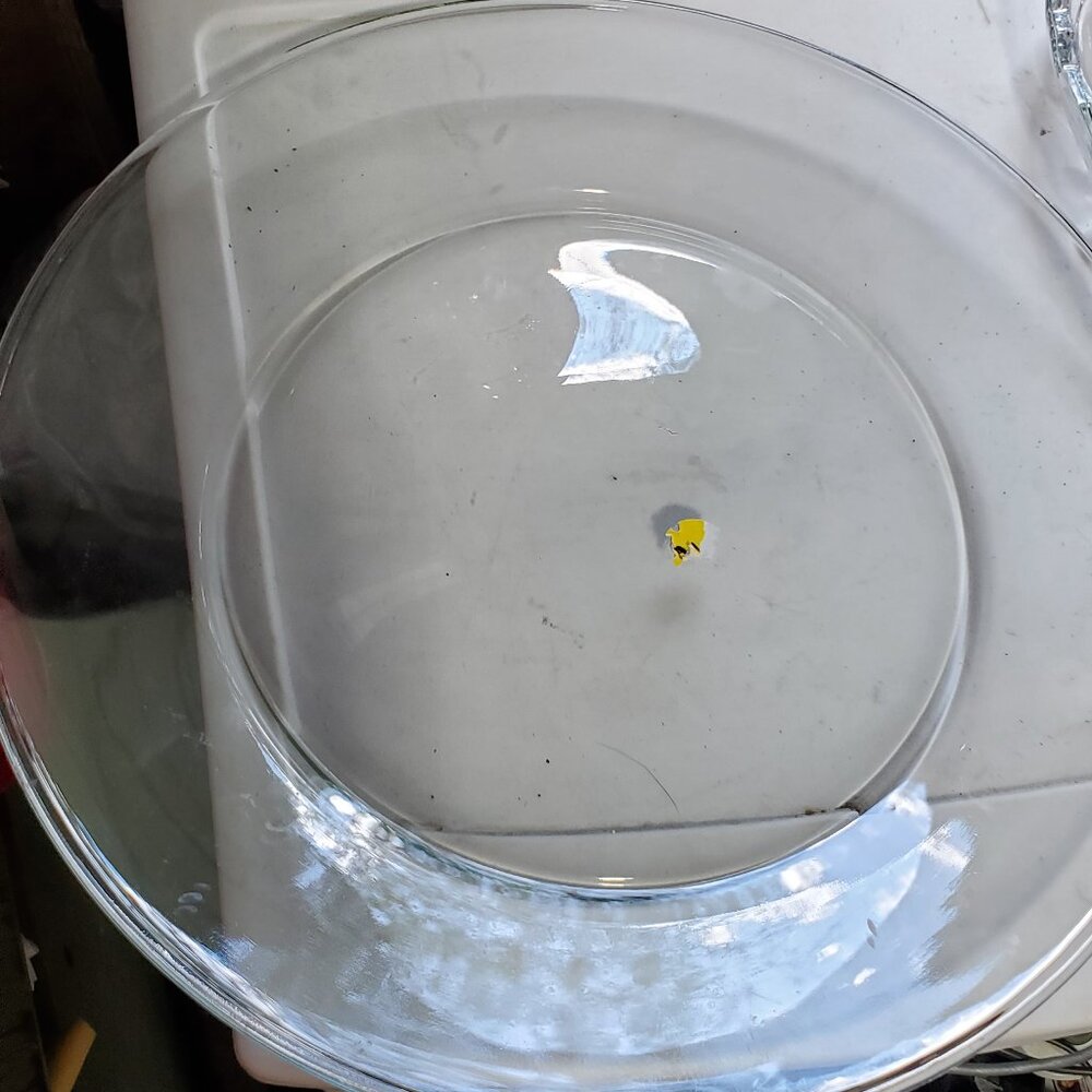 large glass cake plate